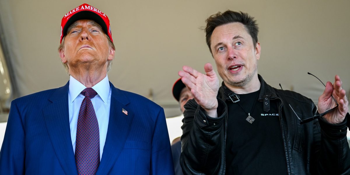 Lista de sarcini în creștere a lui Elon Musk include colaborarea cu Boeing pentru accelerarea livrării noilor avioane Air Force One ale lui Trump.